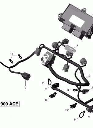 10- Engine Harness and Electronic Module - 900 ACE