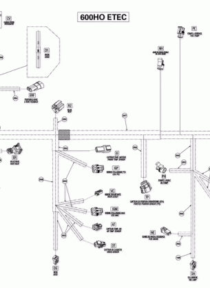 10- Electrical Harness 600HO ETEC