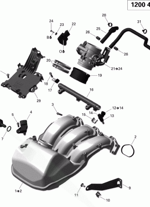 02- Air Intake Manifold And Throttle Body