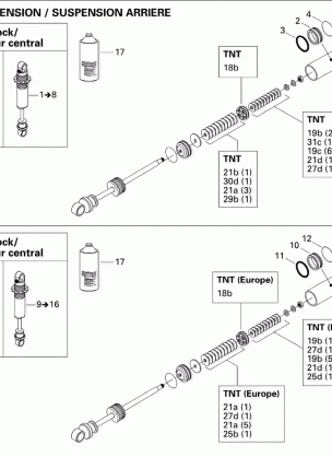 08- Take Apart Shock Rear 2