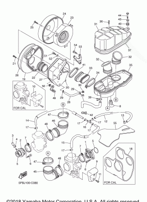 INTAKE