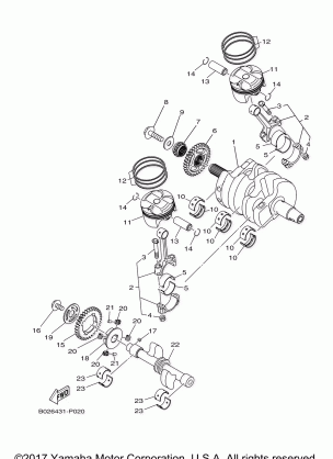 CRANKSHAFT PISTON