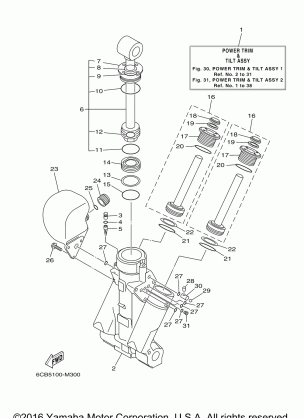 POWER TRIM TILT ASSY 1