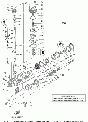 LOWER CASING DRIVE 1 F150