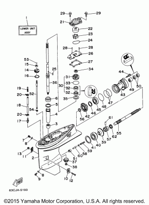 LOWER CASING DRIVE 1 (F50)