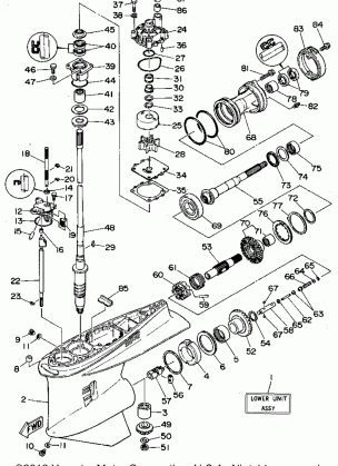 LOWER CASING DRIVE 3 (L250TXRT L250TURT)