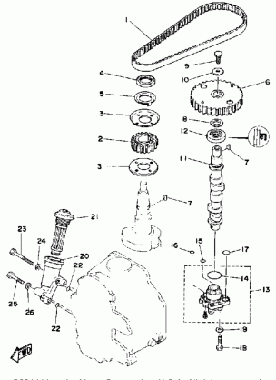 OIL PUMP BELT