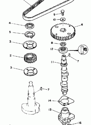 OIL PUMP BELT
