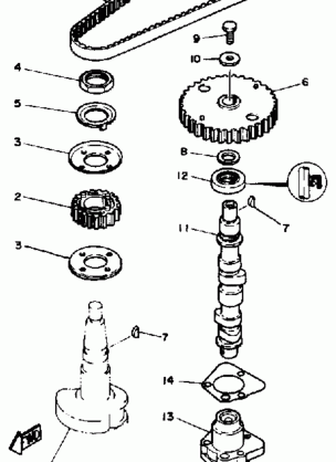 OIL PUMP BELT