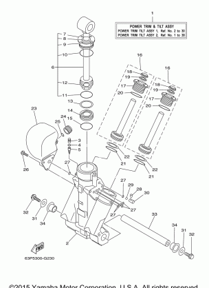 POWER TRIM TILT ASSY 1