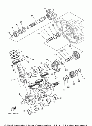 CRANKSHAFT PISTON