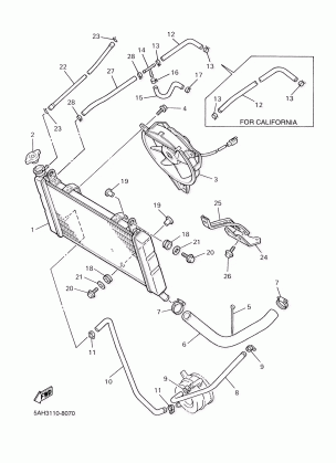 RADIATOR HOSE