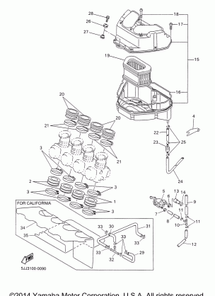 INTAKE