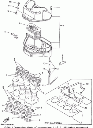 INTAKE