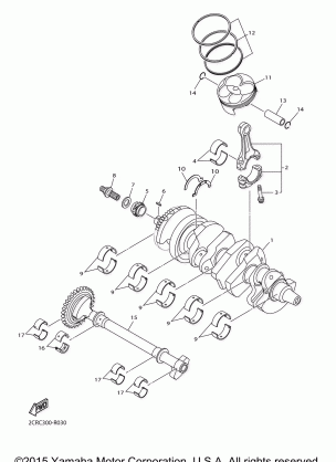 CRANKSHAFT PISTON