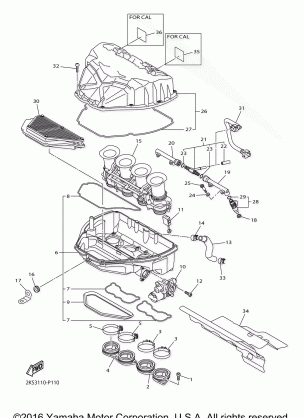 INTAKE