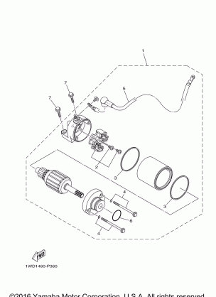 STARTING MOTOR