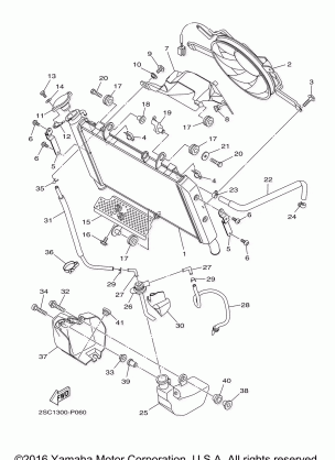 RADIATOR HOSE