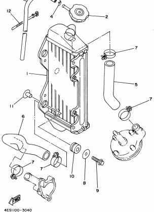 RADIATOR - HOSE