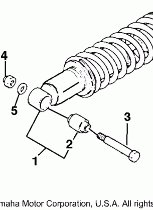 REAR SHOCKS