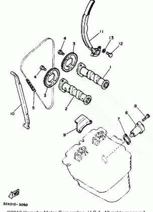 CAMSHAFT - CHAIN