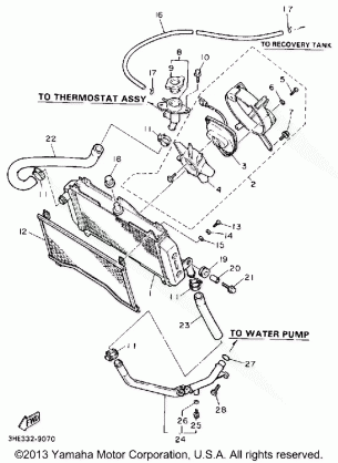 RADIATOR HOSE