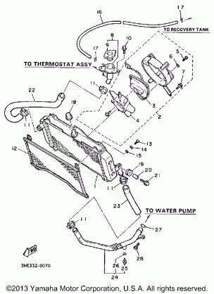 RADIATOR HOSE