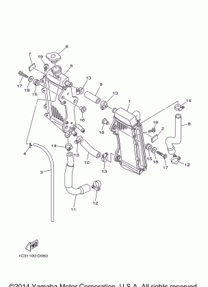 RADIATOR HOSE