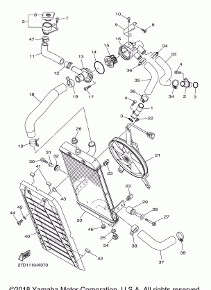 RADIATOR HOSE