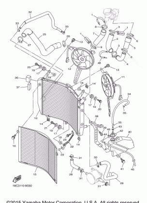 RADIATOR HOSE