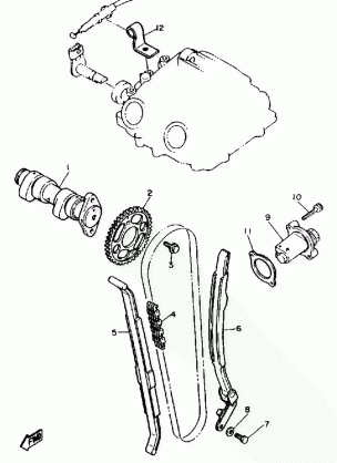 CAMSHAFT - CHAIN