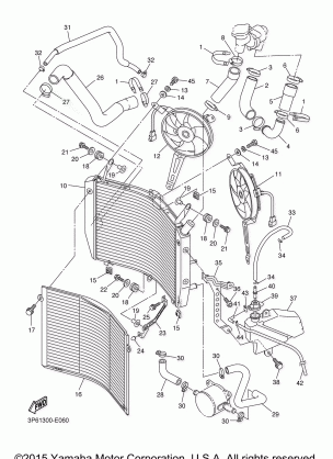 RADIATOR HOSE