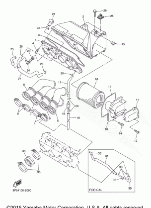 INTAKE