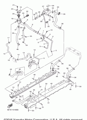 RADIATOR HOSE