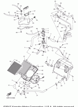 RADIATOR HOSE