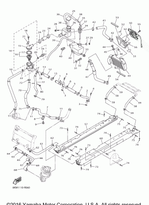 RADIATOR HOSE