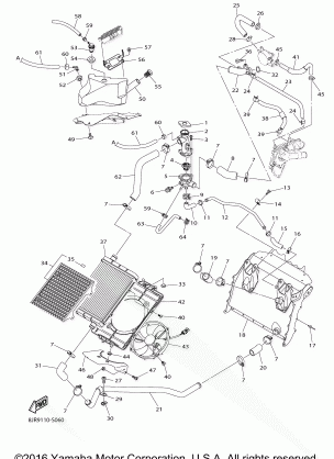 RADIATOR HOSE