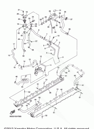 RADIATOR HOSE