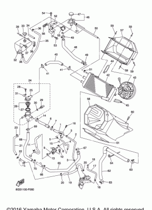 RADIATOR HOSE