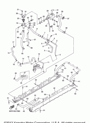 RADIATOR HOSE