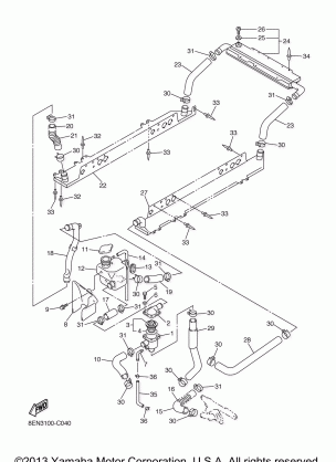 RADIATOR HOSE