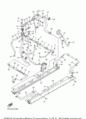 RADIATOR HOSE