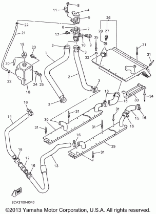 RADIATOR HOSE