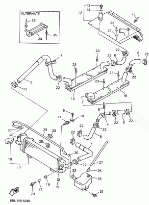 RADIATOR HOSE