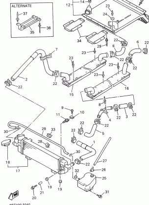 RADIATOR HOSE