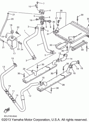 RADIATOR - HOSE