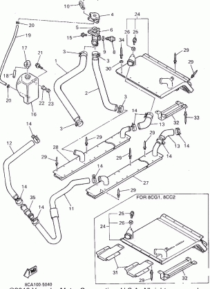 RADIATOR HOSE