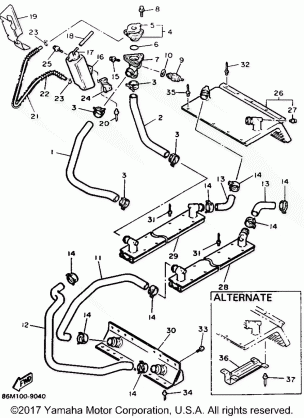 RADIATOR HOSE