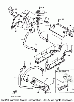 RADIATOR - HOSE