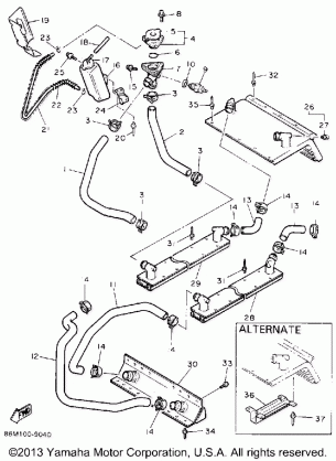 RADIATOR - HOSE